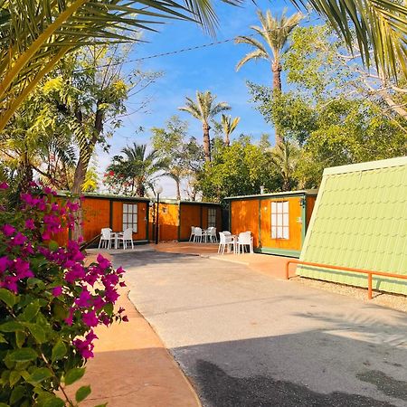 Camping Las Palmeras Hotell Crevillente Exteriör bild