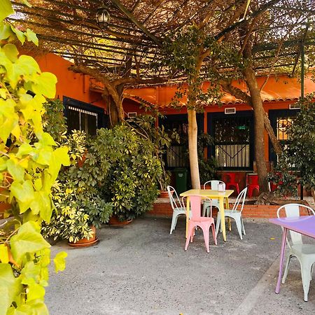 Camping Las Palmeras Hotell Crevillente Exteriör bild