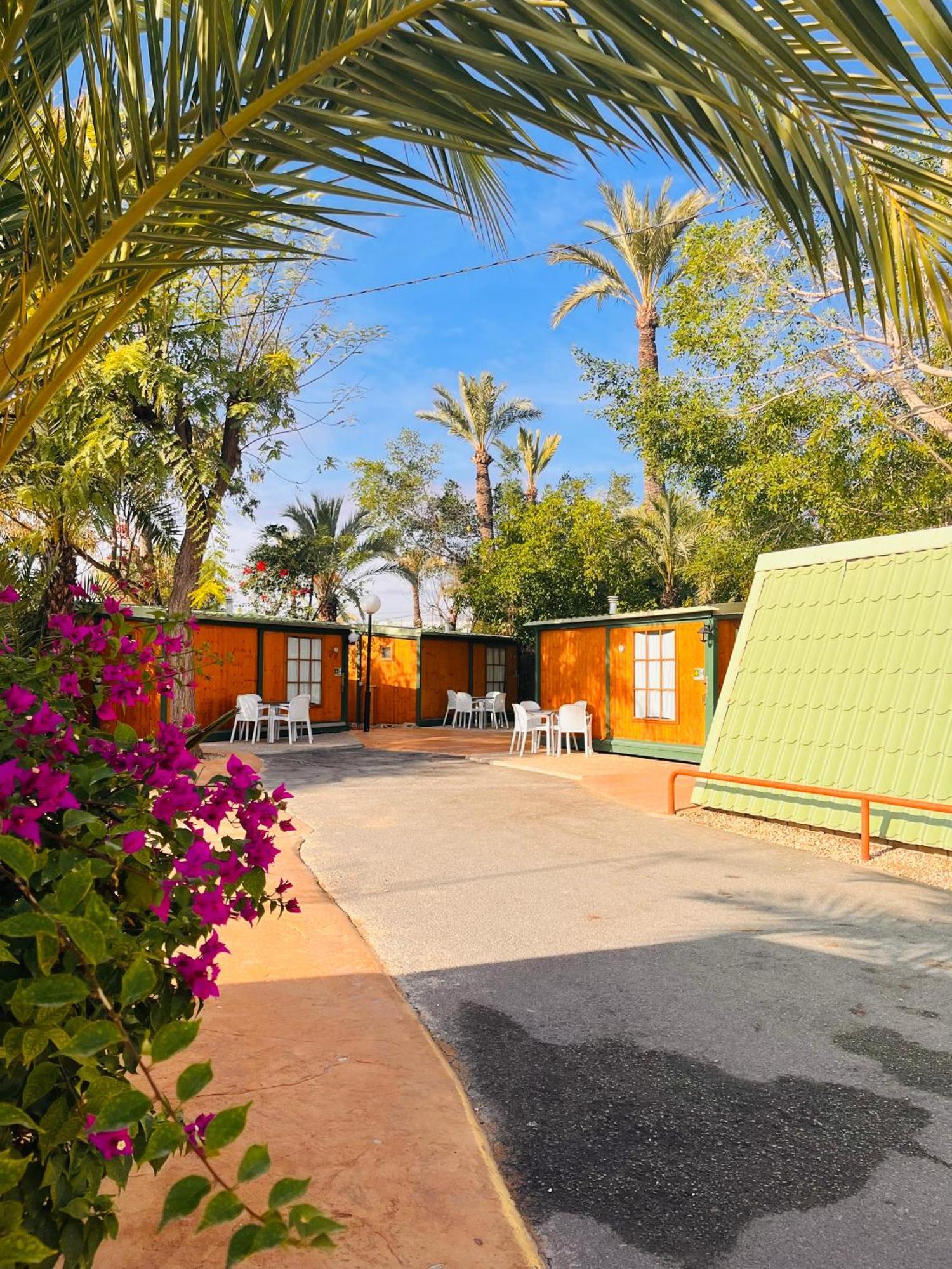 Camping Las Palmeras Hotell Crevillente Exteriör bild