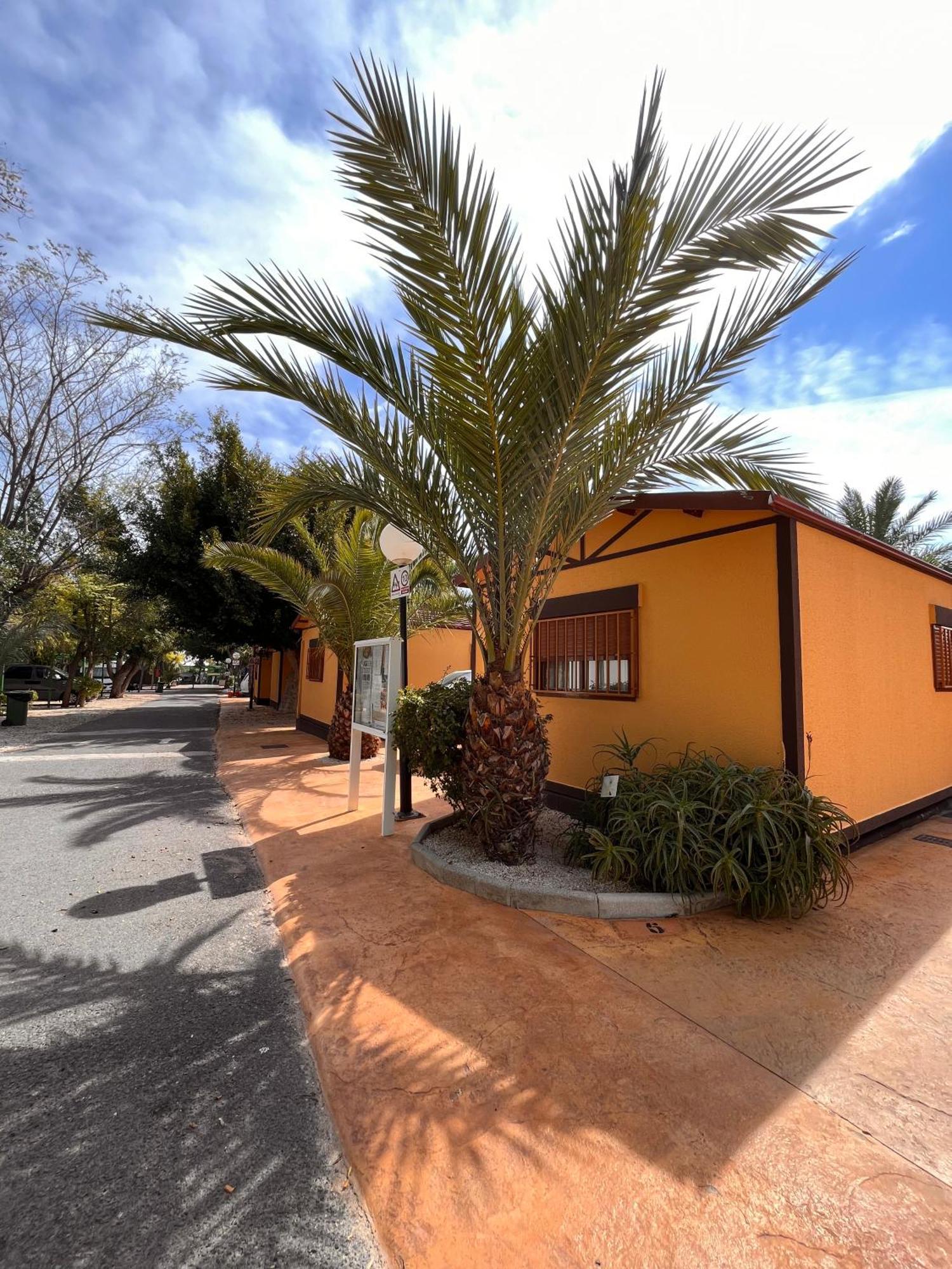 Camping Las Palmeras Hotell Crevillente Exteriör bild