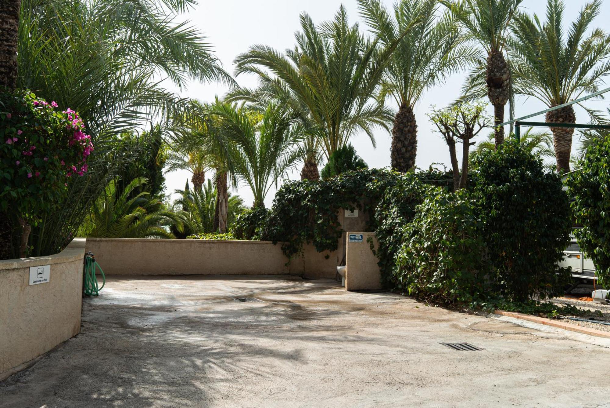 Camping Las Palmeras Crevillente Exteriör bild