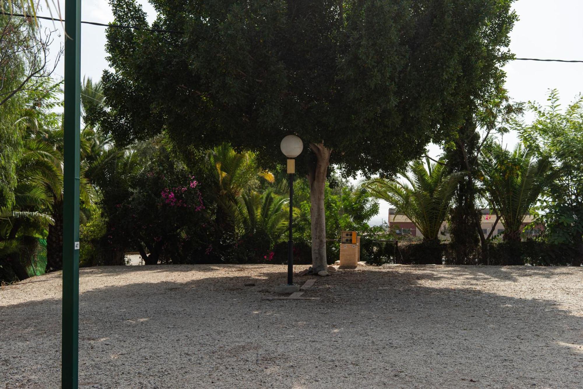 Camping Las Palmeras Crevillente Exteriör bild