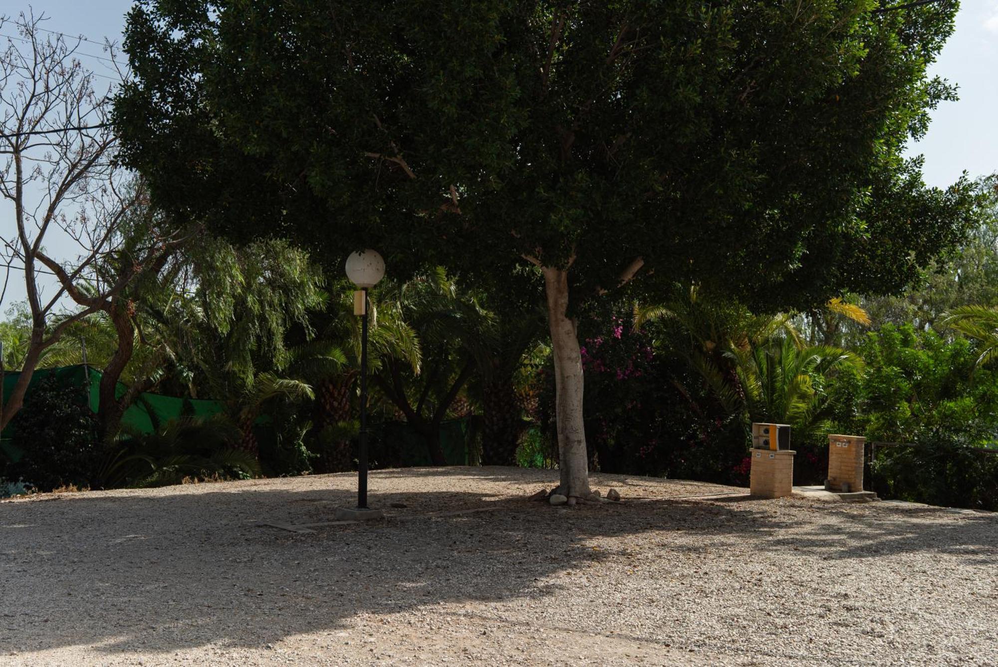Camping Las Palmeras Crevillente Exteriör bild